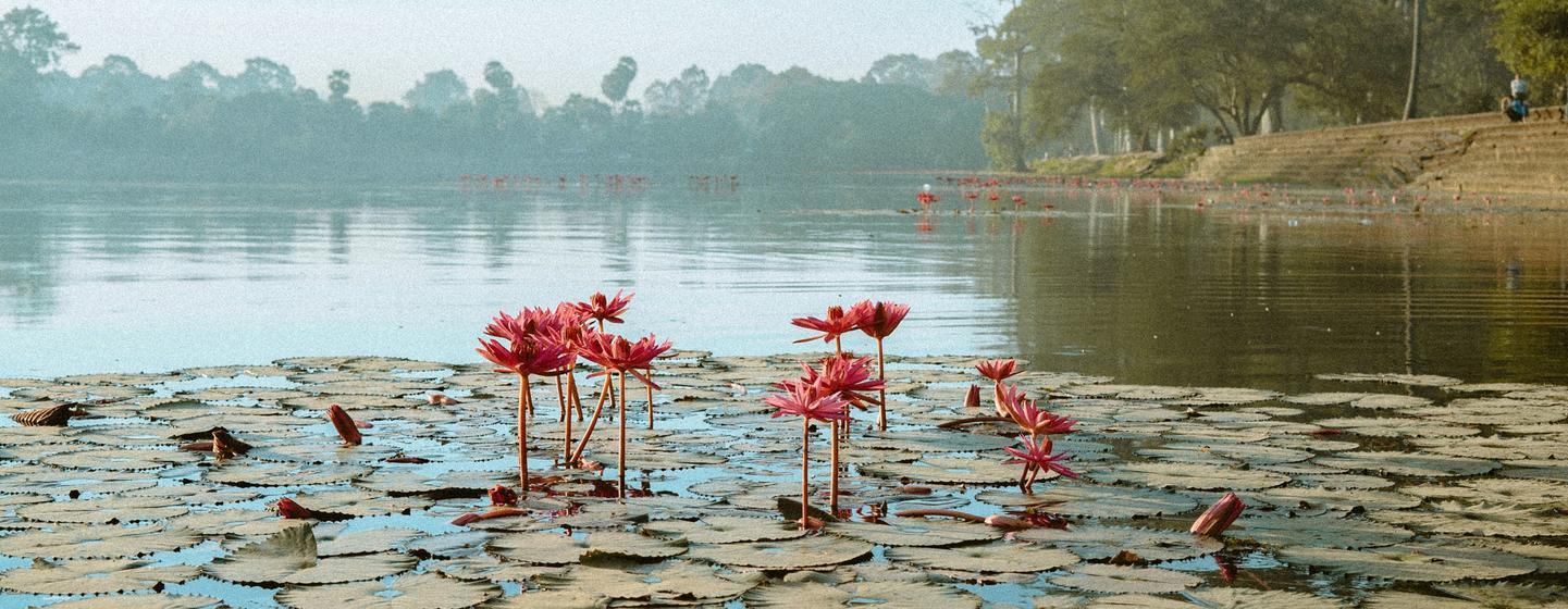 Angkor Wat, Krong Siem Reap, in Cambodia. Angkor Wat, Krong Siem Reap, in Cambodia.