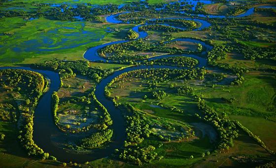 An aerial view of wetlands in China. An aerial view of wetlands in China.