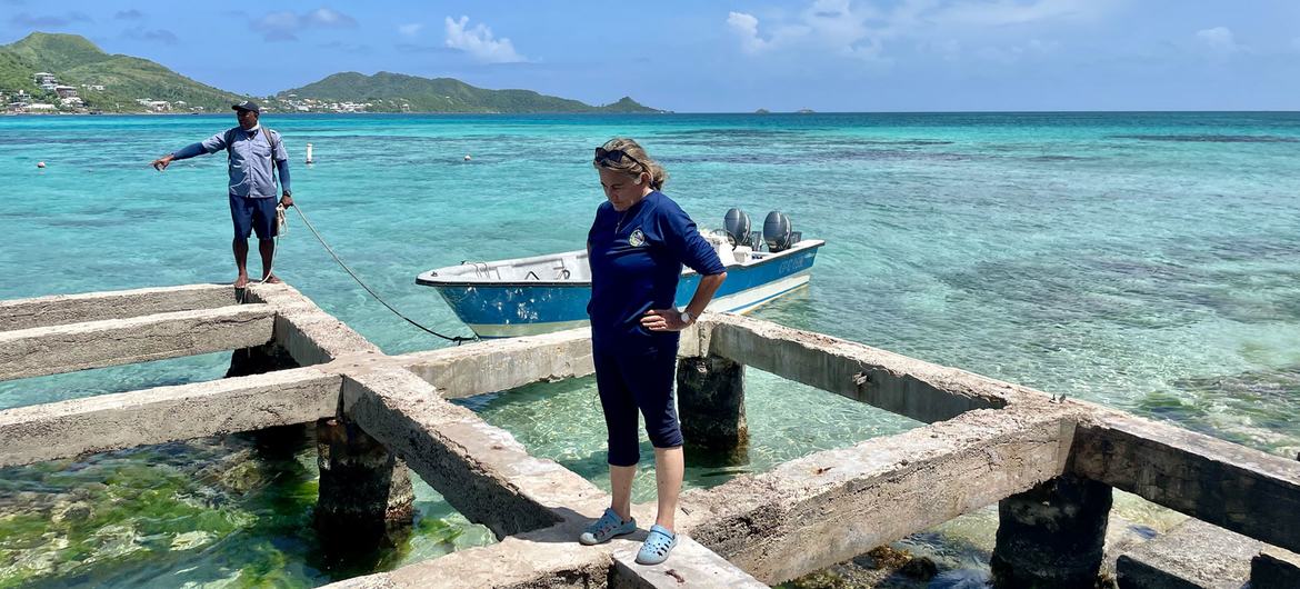 Marcela Cano stands over the remnants of the pier that once stood over Crab Cay, McBean Lagoon National Park. Marcela Cano stands over the remnants of the pier that once stood over Crab Cay, McBean Lagoon National Park.