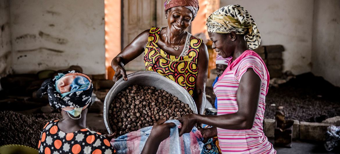 The production of shea nuts and butter are among the most accessible income-generating activities for rural women in Northern Ghana. The production of shea nuts and butter are among the most accessible income-generating activities for rural women in Northern Ghana.