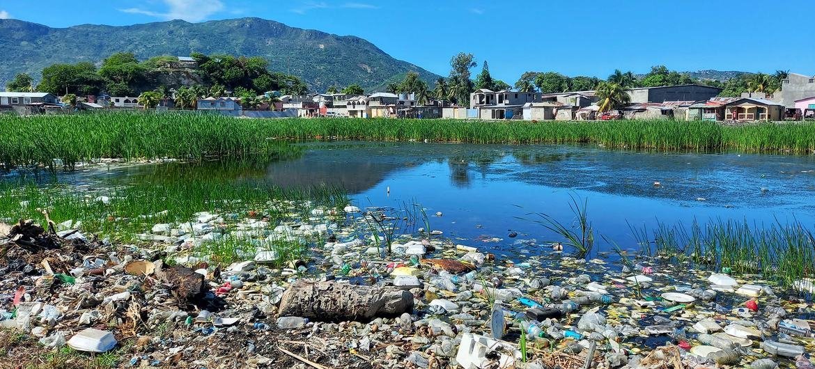 Plastic pollution harms the environment in Haiti. Plastic pollution harms the environment in Haiti.