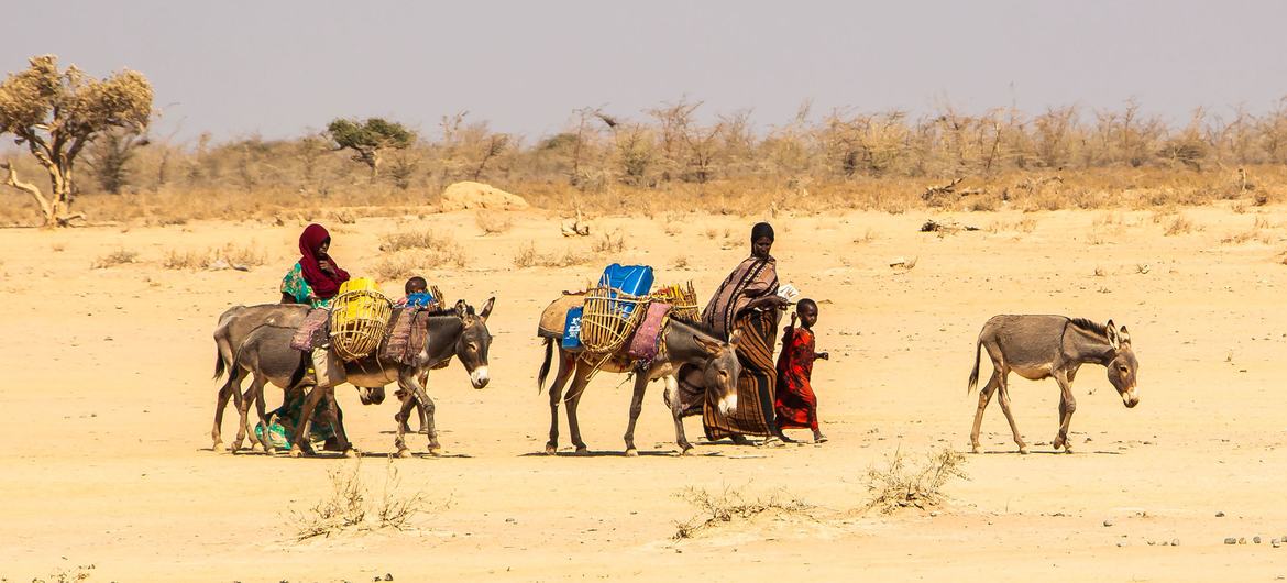 İklim şokları ve aşırı hava koşulları, Afrika Boynuzu'nda kitlesel yer değiştirmeyi körüklüyor ve insani ihtiyaçları artırıyor.  