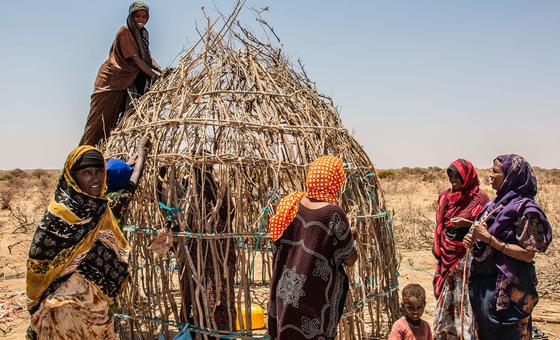 Etiyopya'nın Somali bölgesinde bir aile, evlerinden kaçtıktan sonra geçici bir barınak inşa ediyor.