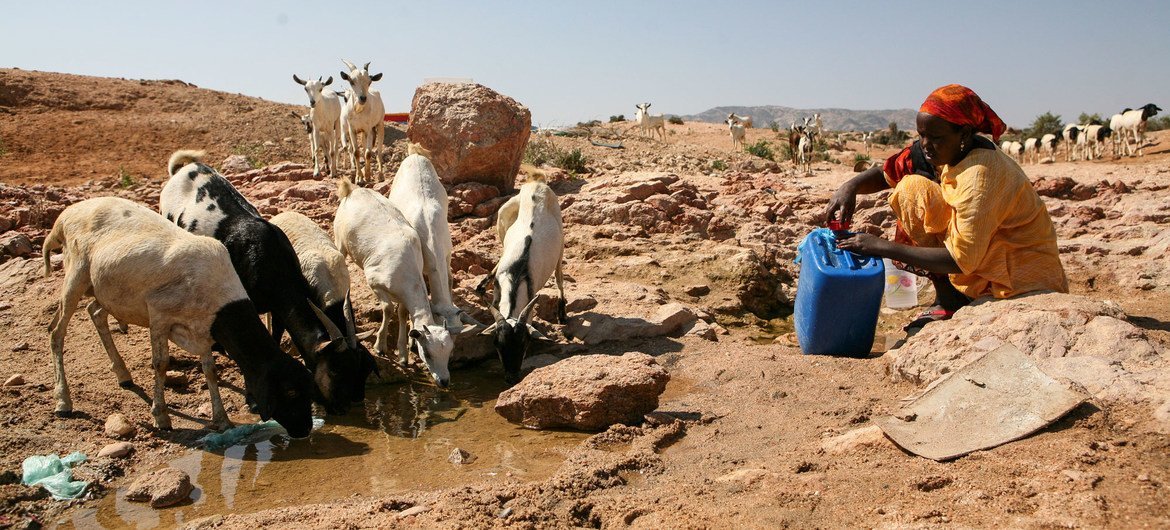Recurrent drought and the resulting competition over resources has led to conflict in Somalia in recent decades. Recurrent drought and the resulting competition over resources has led to conflict in Somalia in recent decades.