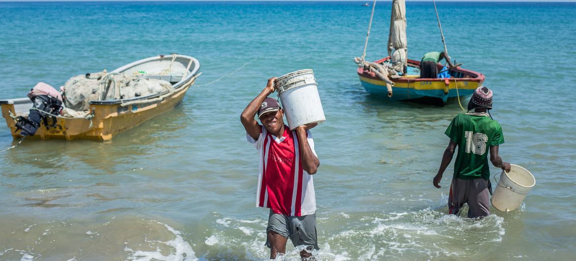 Sustainable fishing improves livelihoods in Haiti.