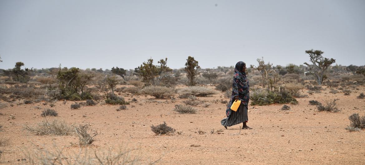 Somali eşi benzeri görülmemiş bir kıtlık riskiyle karşı karşıya