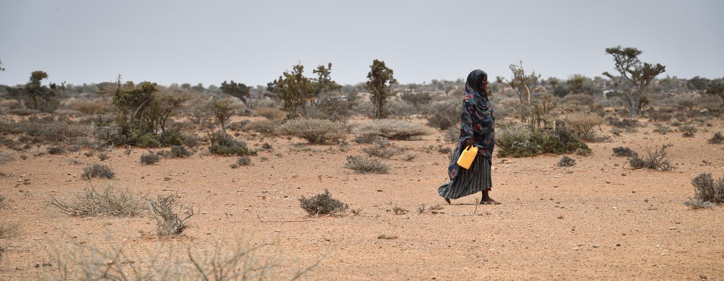 Somalia is facing the risk of an unprecedented famine Somalia is facing the risk of an unprecedented famine
