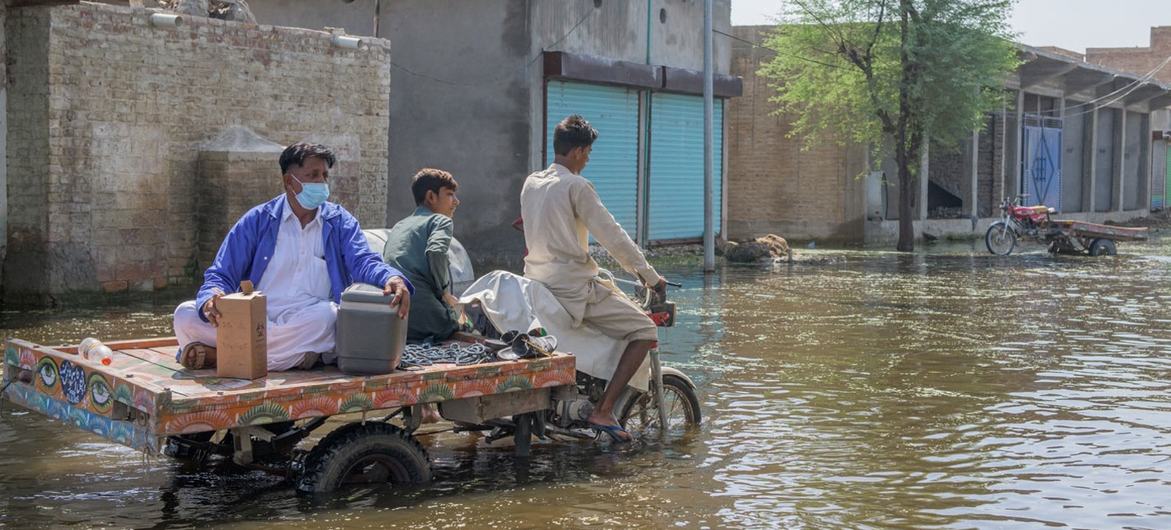 Public health risks increasing in flood-affected Pakistan, warns WHO — Global Issues