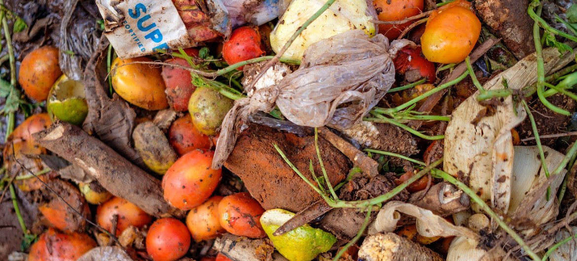 Sustainable food cold chains reduce waste, fight climate change: UN report