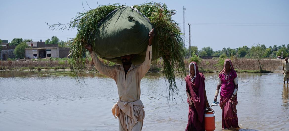 Villagers in Pakistan’s Khairpur Mirs District in Sindh province cross flooded land to get to their homes. 