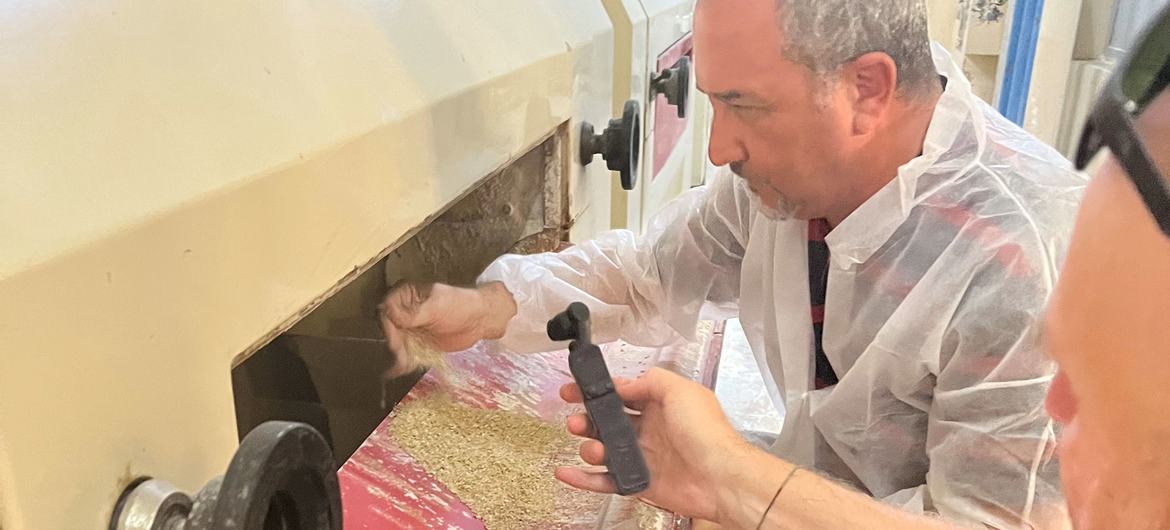 Redissi Radhouane is the chief mill operator at La Compagnie Tunisienne de Semoulerie flour mill in Tunis, Tunisia.