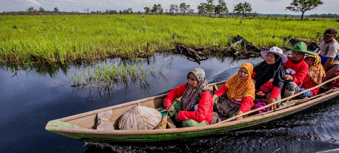 People are transported by boat on a river in Indonesia. People are transported by boat on a river in Indonesia.