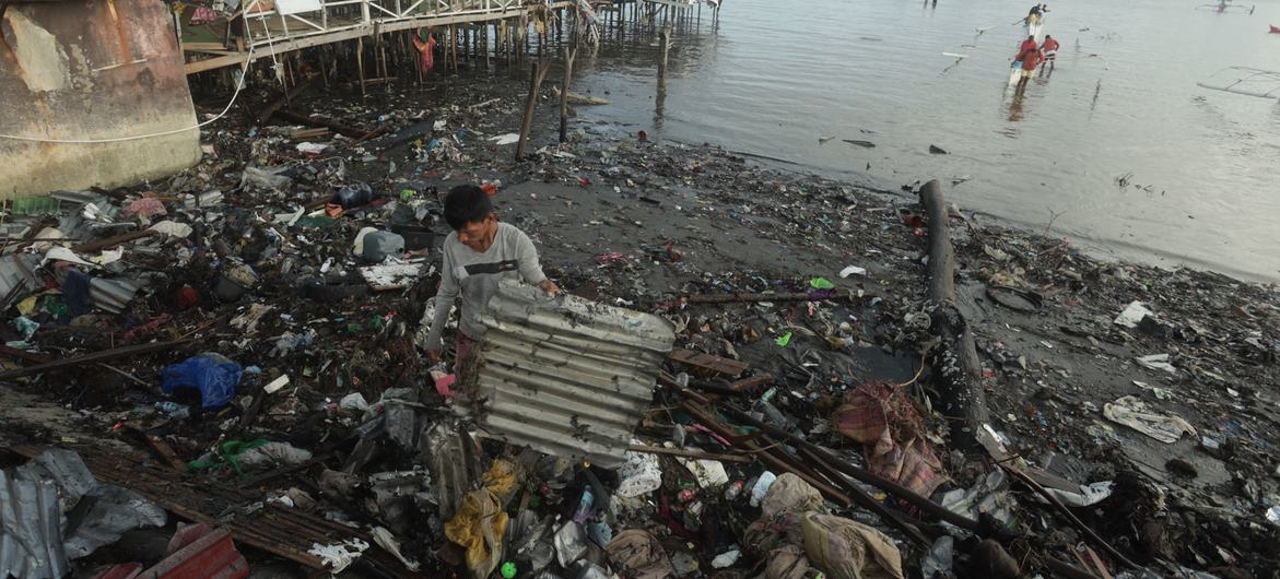 A man collects a sheet-metal from a beach that has been ravaged by the Typhoon Rai, in Philippines. A man collects a sheet-metal from a beach that has been ravaged by the Typhoon Rai, in Philippines.