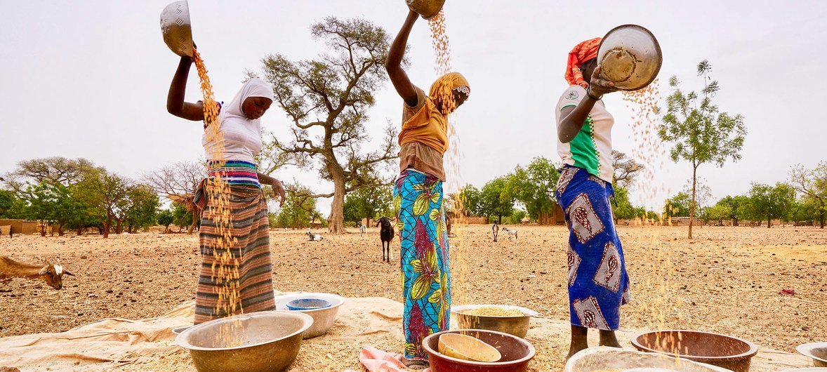 In Burkina Faso, the number of people facing a critical lack of food has increased. In Burkina Faso, the number of people facing a critical lack of food has increased.