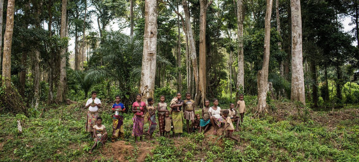 Members of an indigenous community, living in the forests in one of the most remote regions of Republic of the Congo. Members of an indigenous community, living in the forests in one of the most remote regions of Republic of the Congo.