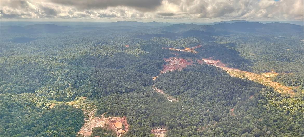 Surinam dünyanın en ormanlık ülkesidir, ancak bozulmamış yağmur ormanları, diğerlerinin yanı sıra altın, boksit ve kaolin madenciliği nedeniyle tehdit altındadır.
