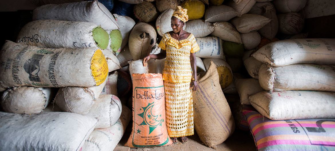 A female farmer stands in front of seed bags stored in a warehouse in a agri-business centre in Sierra Leone. A female farmer stands in front of seed bags stored in a warehouse in a agri-business centre in Sierra Leone.