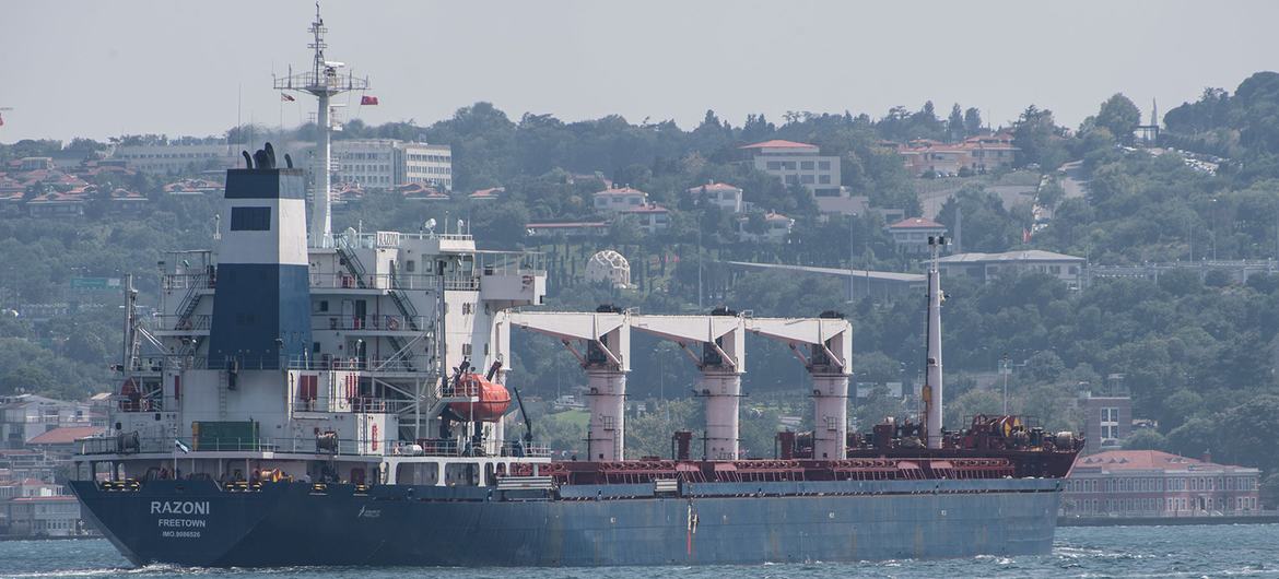 The first shipment of over 26,000 tons of food under a Black Sea Ukrainian export deal has been cleared to proceed towards its final destination in Lebanon.