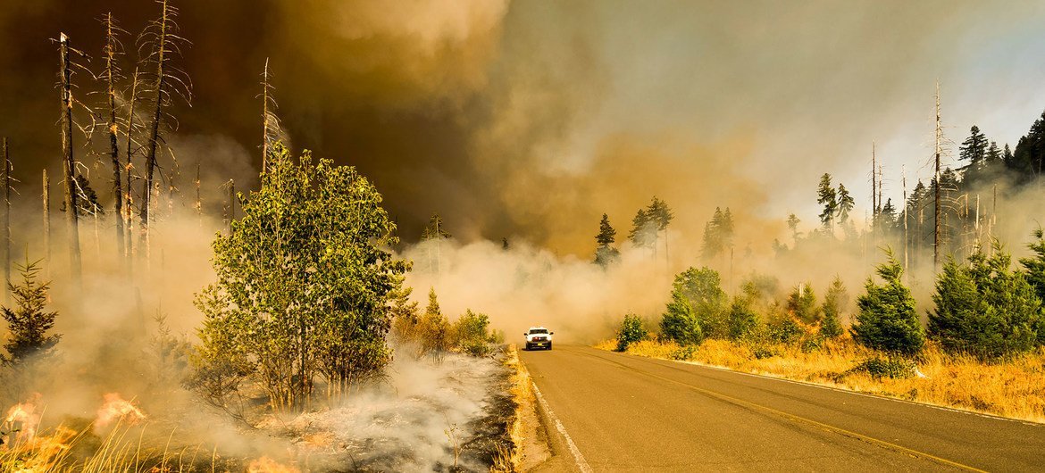 A wildfire burns in a national park in Oregon, USA. A wildfire burns in a national park in Oregon, USA.