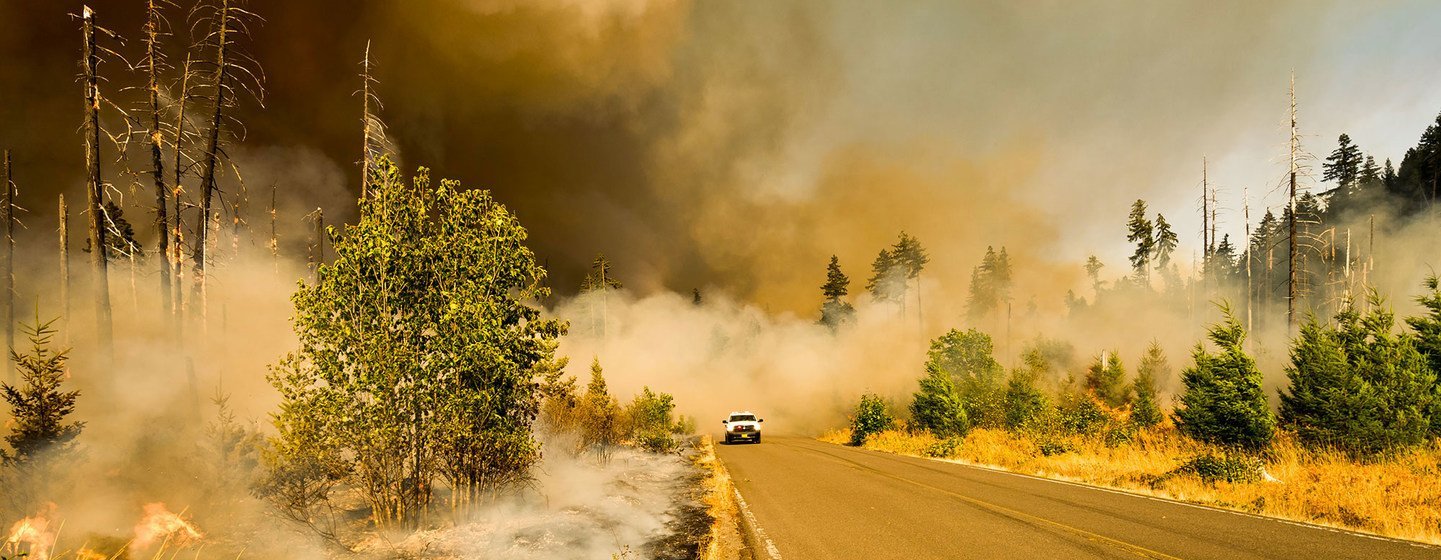 A wildfire burns in a national park in Oregon, USA. A wildfire burns in a national park in Oregon, USA.