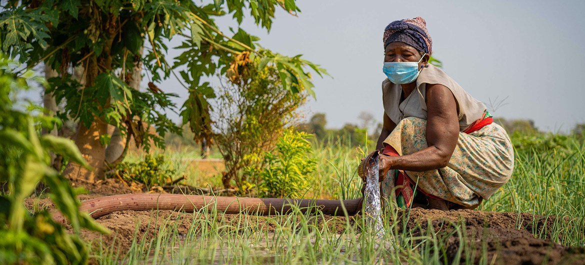 Improving irrigation systems in developing countries supports livelihoods and helps attain the UN’s sustainable development goals. Improving irrigation systems in developing countries supports livelihoods and helps attain the UN’s sustainable development goals.