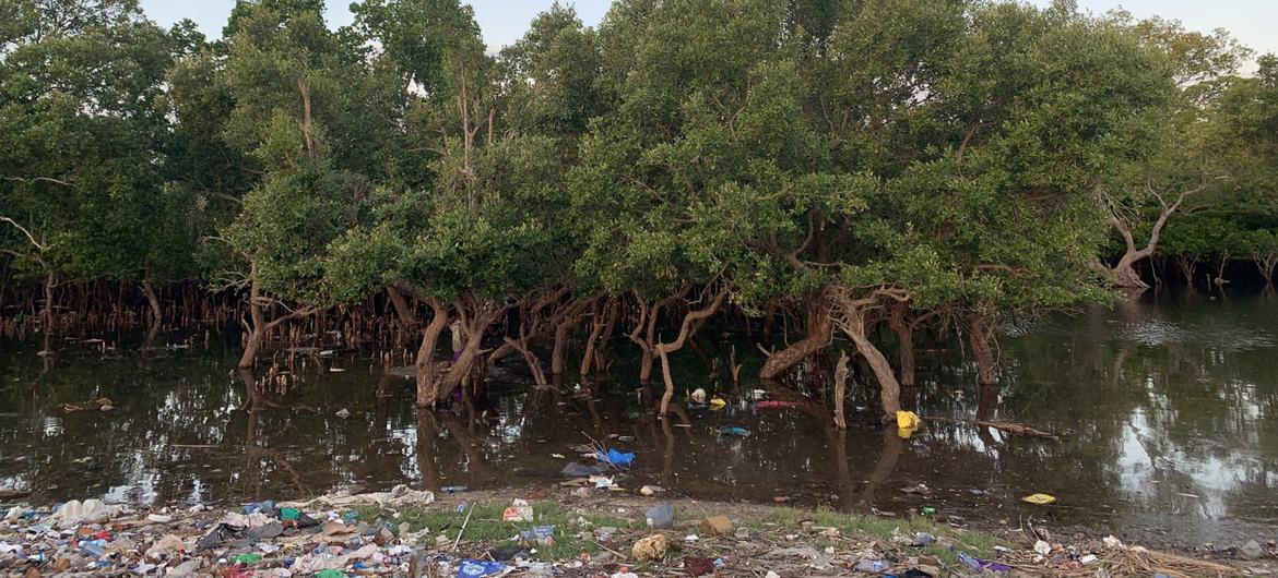 Plastic pollution in Vanga a Coastal town in Kenya. Plastic pollution in Vanga a Coastal town in Kenya.