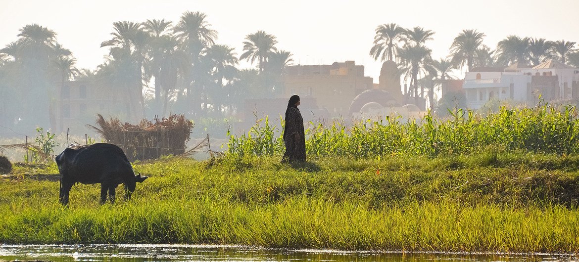 The Nile has delivered freshwater, fed agriculture, and supported livelihoods in Egypt, Ethiopia and Sudan for thousands of years. The Nile has delivered freshwater, fed agriculture, and supported livelihoods in Egypt, Ethiopia and Sudan for thousands of years.