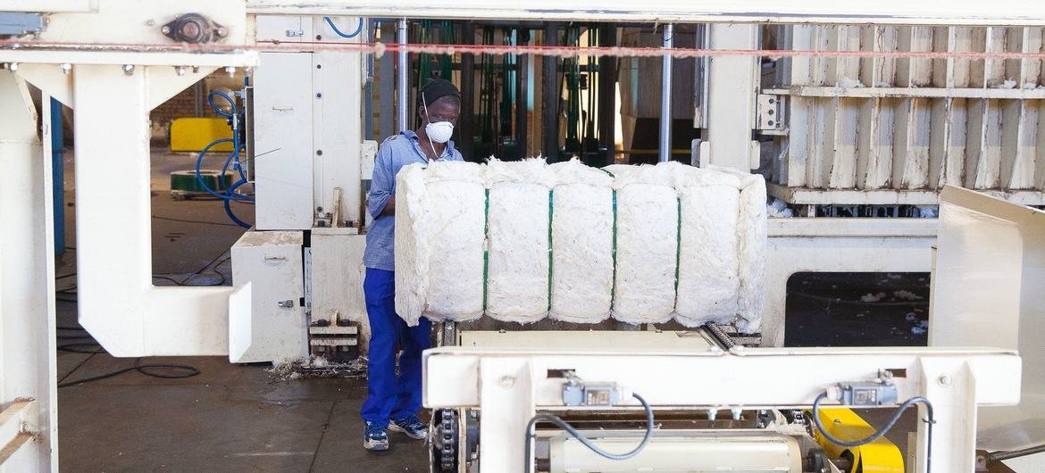 A man works in a cotton factory just outside of Johannesburg, South Africa. A man works in a cotton factory just outside of Johannesburg, South Africa.