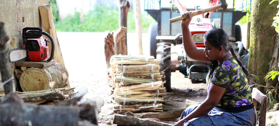 Sri Lanka is experiencing a multidimensional economic crisis, impacting fuel for cooking, transport, and industry. Sri Lanka is experiencing a multidimensional economic crisis, impacting fuel for cooking, transport, and industry.