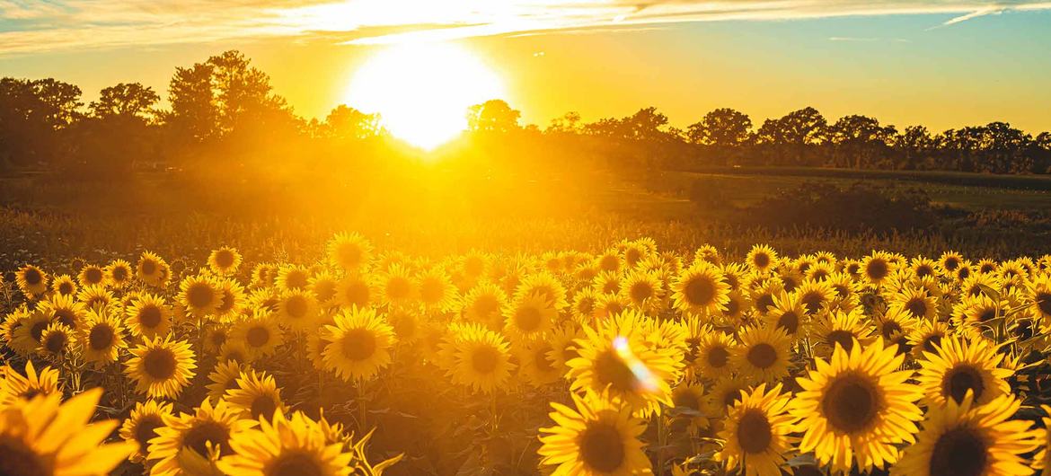 Globally, July 2022 was one of three warmest Julys on record. Globally, July 2022 was one of three warmest Julys on record.