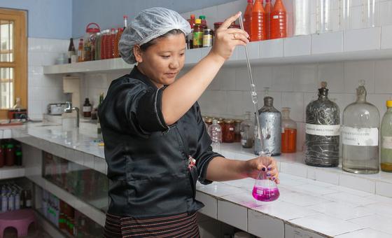 A female trainee chemist conducts a test at a fruit company in Samtse, Bhutan. A female trainee chemist conducts a test at a fruit company in Samtse, Bhutan.