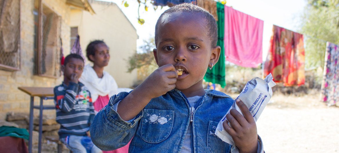 A three-year-old girl in western Tigray eats a high energy biscuit to boost her nutrition levels.