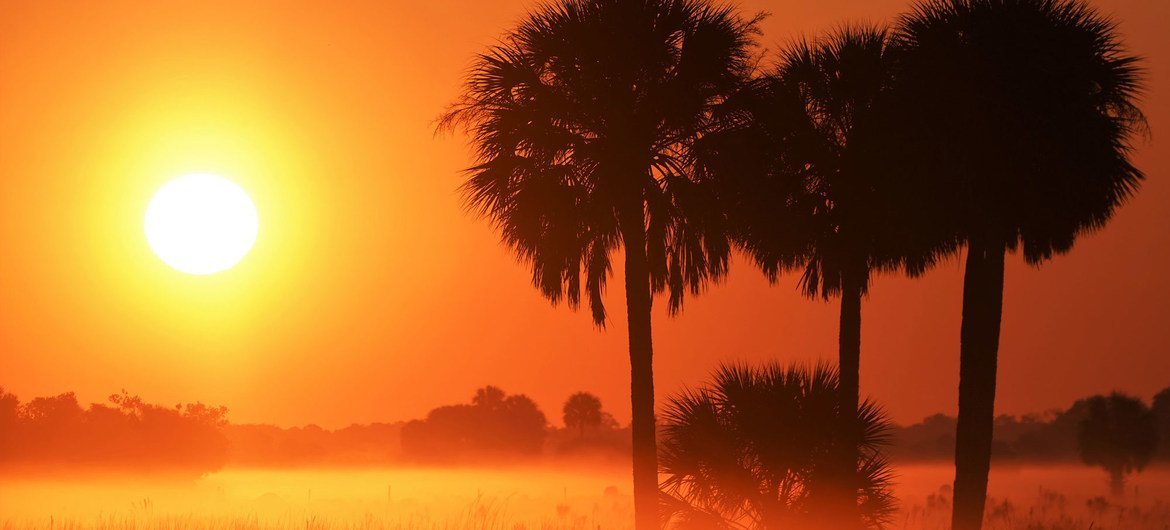 Since the 1980s, each decade has been warmer than the previous one. Since the 1980s, each decade has been warmer than the previous one.