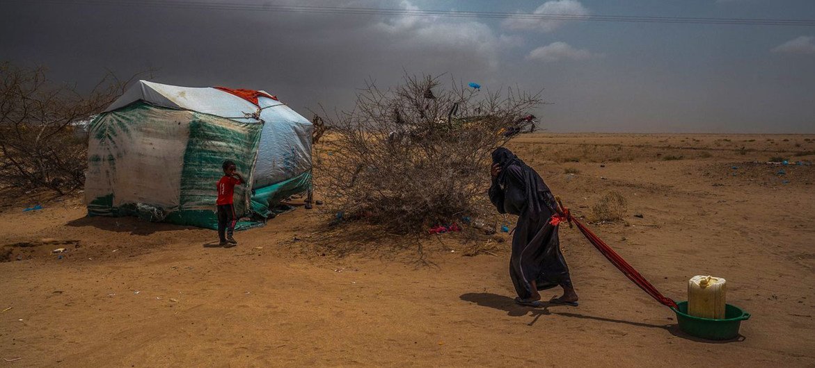 An elderly woman drags water back to her tent in a displacement camp in Abs, near the Saudi border in northern Yemen. An elderly woman drags water back to her tent in a displacement camp in Abs, near the Saudi border in northern Yemen.
