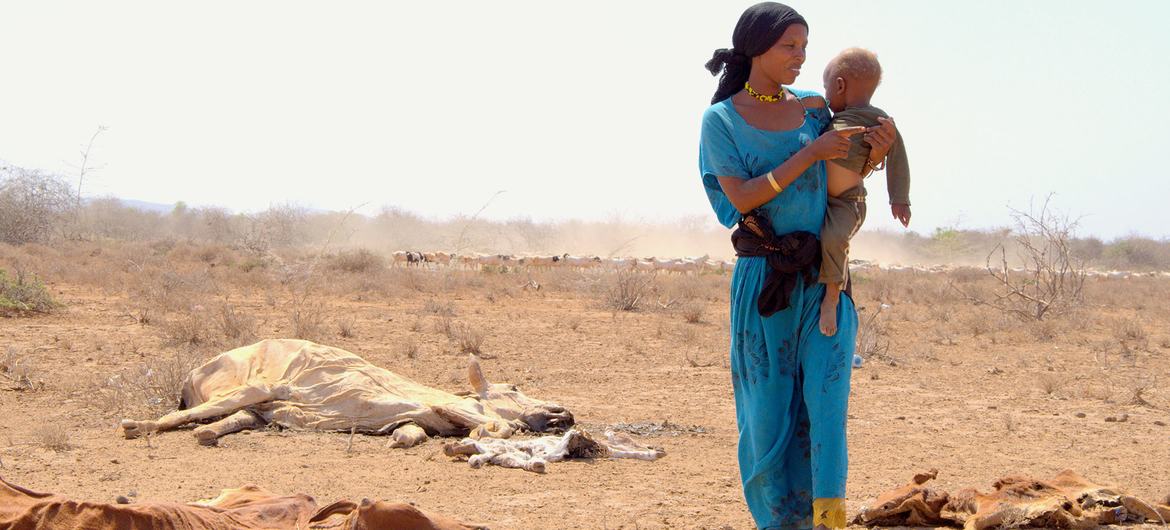 A mother carries her child past the carcasses of livestock that died as a result of a severe drought in Marsabit, Kenya. A mother carries her child past the carcasses of livestock that died as a result of a severe drought in Marsabit, Kenya.