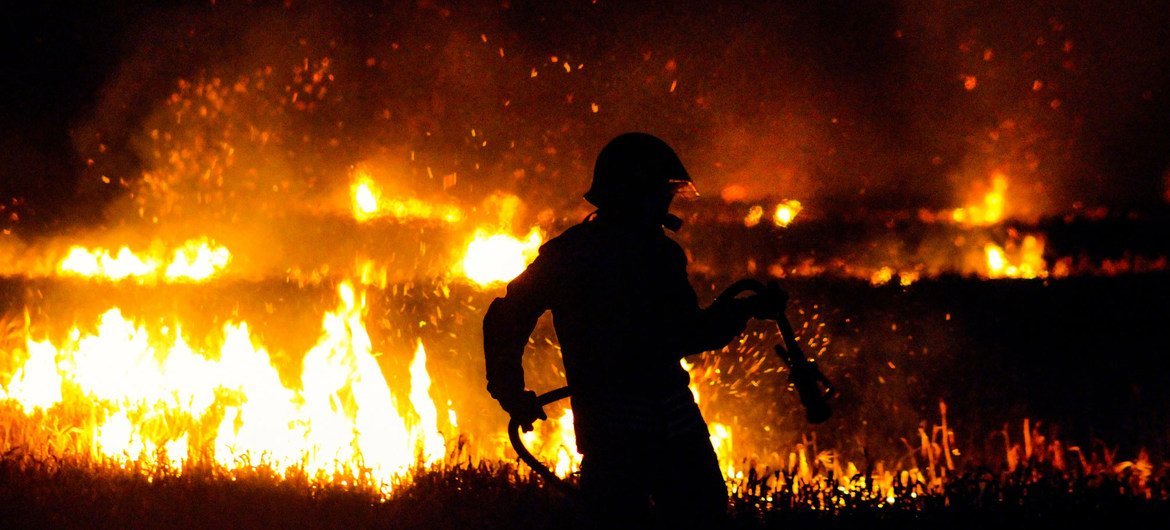 A firefighter battles a wildfire. (file) A firefighter battles a wildfire. (file)