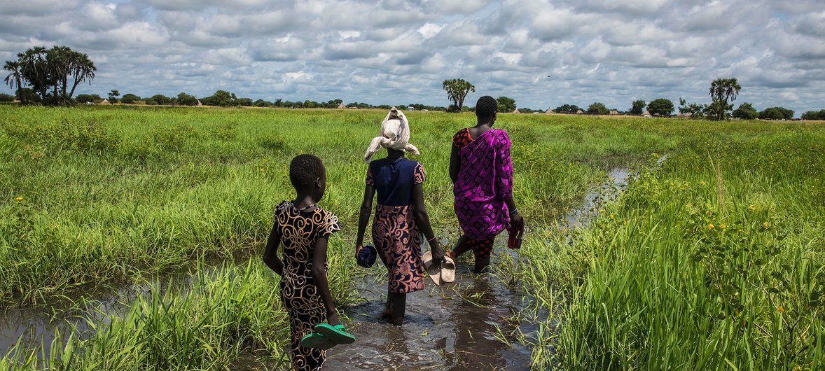 A woman and her family wade through a flooded plain to reach their home in Thaker, Unity state, South Sudan. A woman and her family wade through a flooded plain to reach their home in Thaker, Unity state, South Sudan.