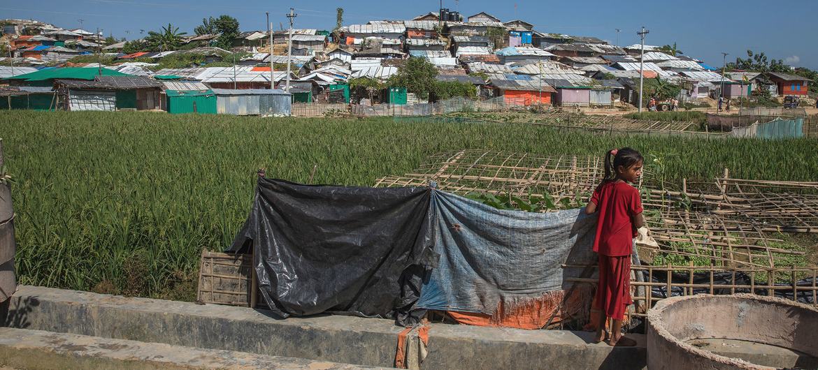 Bangladesh has provided shelter to Rohingya refugees from Myanmar following five separate outbreaks of violence and persecution. Bangladesh has provided shelter to Rohingya refugees from Myanmar following five separate outbreaks of violence and persecution.