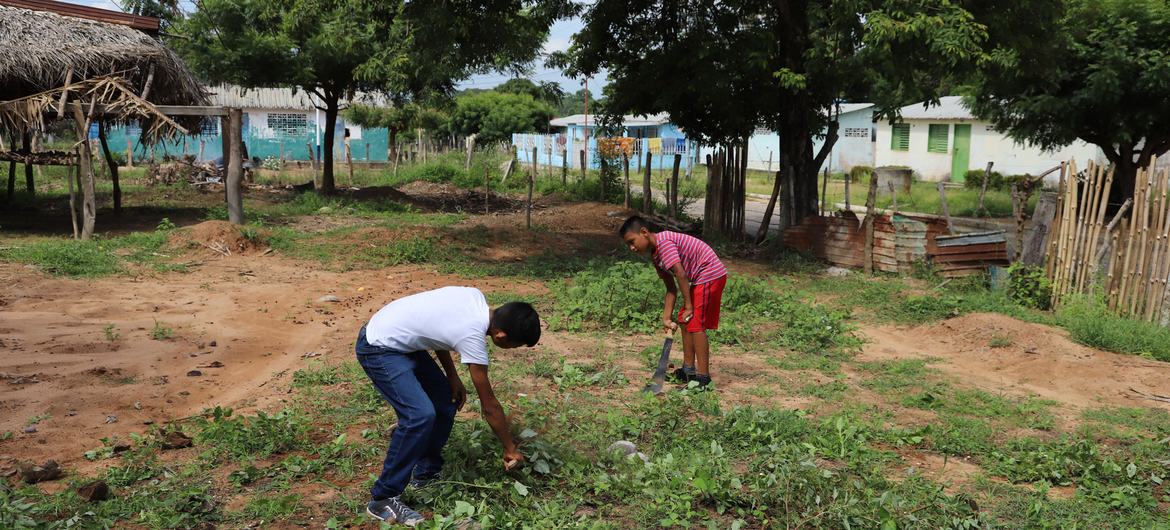 Young people from Rio Negro working in their plot.