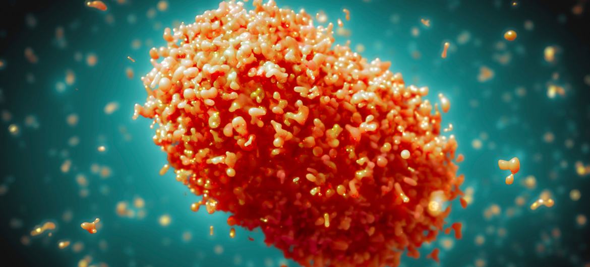 Monkeypox is a rare but dangerous infection similar to the now eradicated smallpox virus. Monkeypox is a rare but dangerous infection similar to the now eradicated smallpox virus.