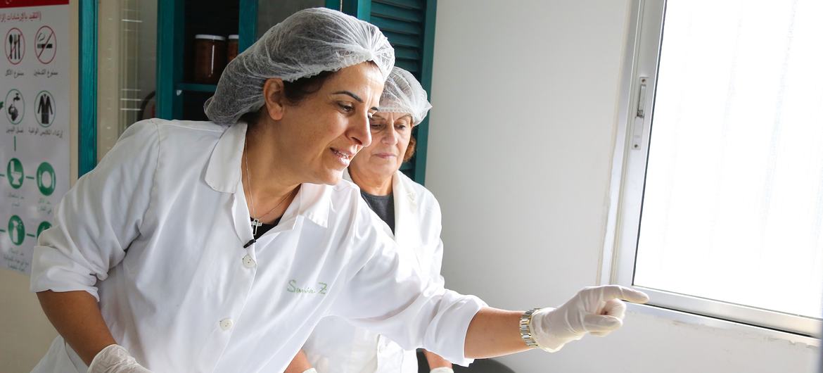 Al Atayeb Kooperatifi Başkanı Samira Zoughaib Akiki, işleme için taze elma seçiyor. 