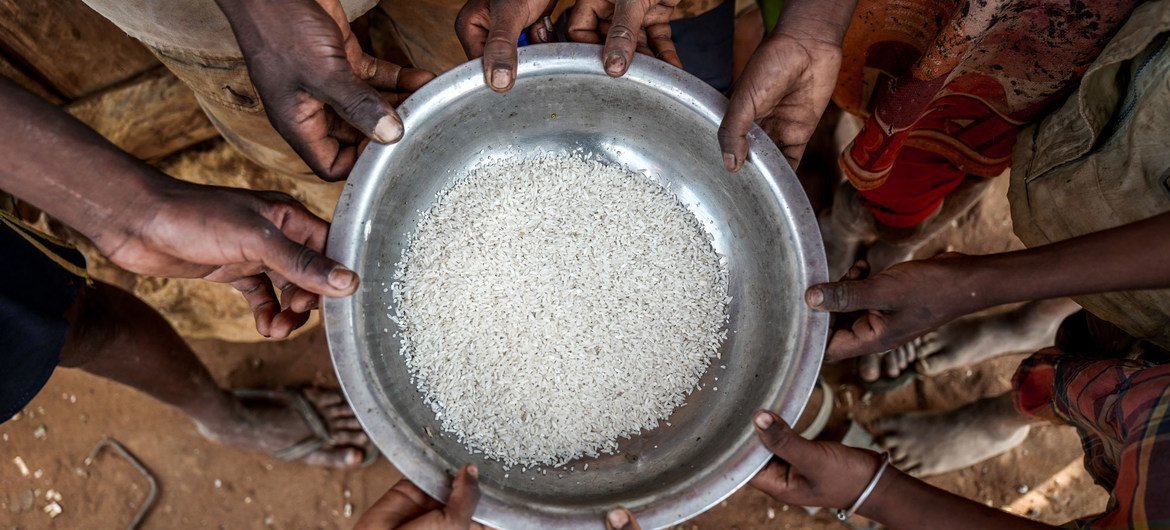 Drought-stricken Madagascar has been identified as a 'hunger hotspot'. Drought-stricken Madagascar has been identified as a 'hunger hotspot'.