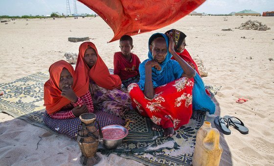Conflict and drought have led to food shortages in many parts of Somalia. Conflict and drought have led to food shortages in many parts of Somalia.