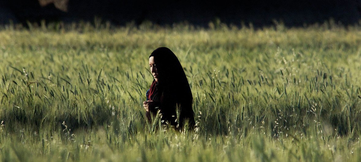 In Afghanistan, despite favourable growing conditions for crops, many people are not getting enough to eat. In Afghanistan, despite favourable growing conditions for crops, many people are not getting enough to eat.