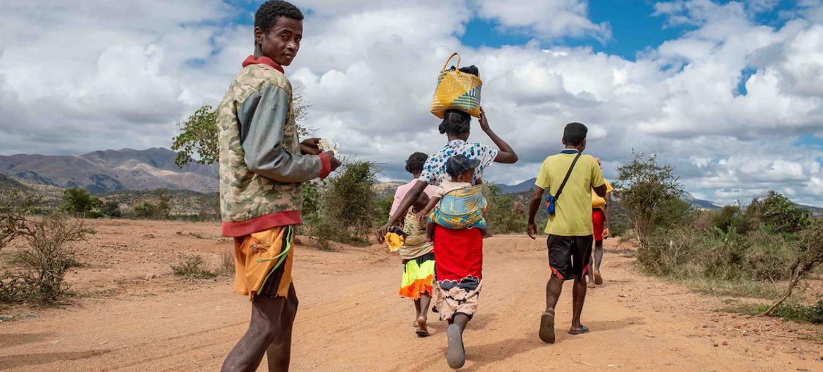 People on their way home in Behara, Amboassary district in Madagascar's Grand Sud region, which is experiencing a historic drought. People on their way home in Behara, Amboassary district in Madagascar's Grand Sud region, which is experiencing a historic drought.