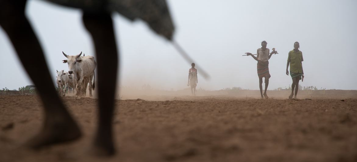 The South Omo region in Ethiopia is facing a severe drought.