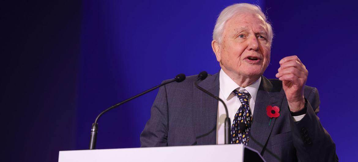 David Attenborough speaks at the opening ceremony of the COP26 Climate Change Conference in Glasgow in November 2021. David Attenborough speaks at the opening ceremony of the COP26 Climate Change Conference in Glasgow in November 2021.