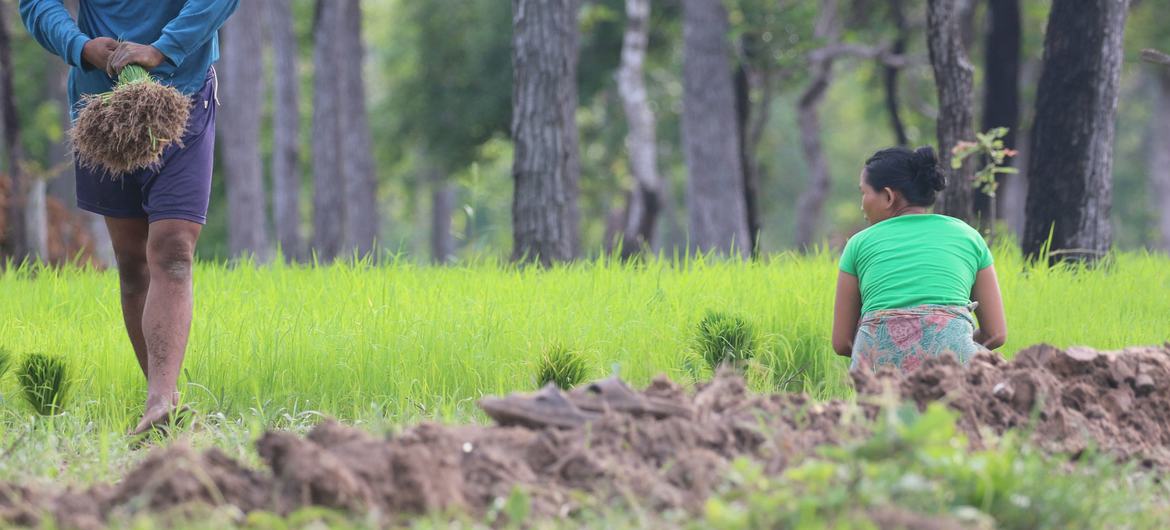 Often, vulnerable communities are situated in areas of poor or marginal soils, which increases the pressure for expansion of agricultural lands. Often, vulnerable communities are situated in areas of poor or marginal soils, which increases the pressure for expansion of agricultural lands.