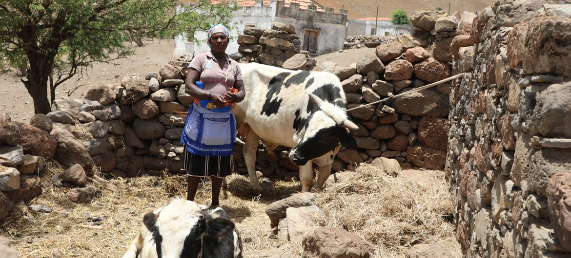 Cabo Verde faces record-breaking levels of food insecurity as a result of drought, COVID-19 and the crisis in Ukraine. Cabo Verde faces record-breaking levels of food insecurity as a result of drought, COVID-19 and the crisis in Ukraine.