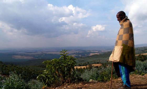 Etiyopya'daki Entoto Dağı'ndan bir adam aşağı bakıyor.